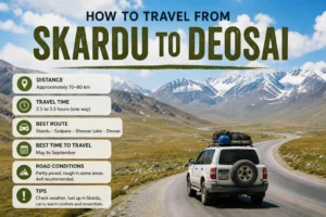 Skardu to Deosai National Park road trip