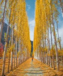  Khaplu Valley in autumn 